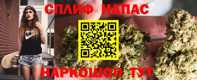 крисы Можга