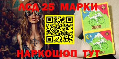 крисы Можга