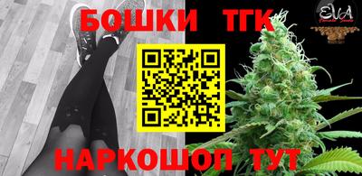 крисы Можга